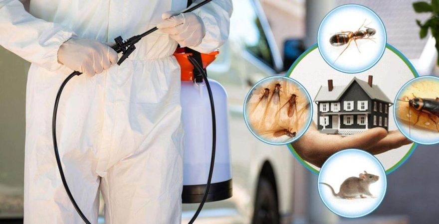 Uzundere Böcek İlaçlama