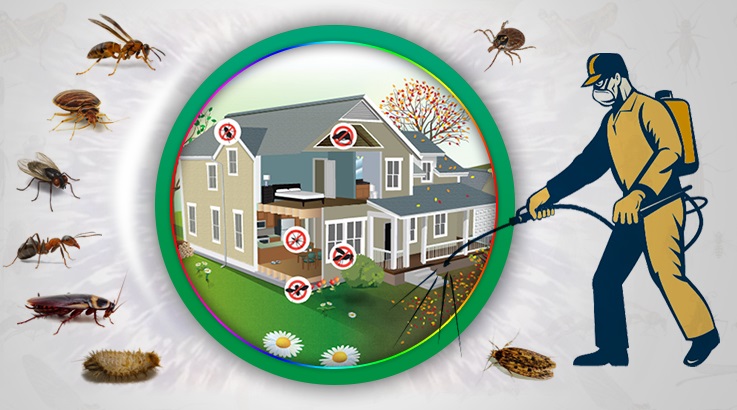 Uzundere Böcek İlaçlama