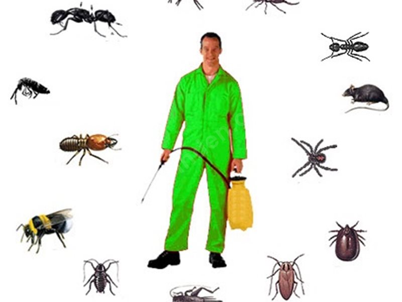 Uzundere Böcek İlaçlama